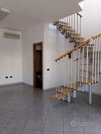 Negozio Rovigo [RO2858VCG]