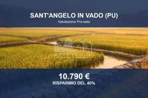 Immobile in asta di 39014 m² a Sant'Angelo in Vado