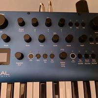 Modal Electronics Cobalt8 37-Key  synth