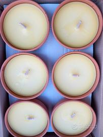 Citronella in coccio antivento  18 pezzi