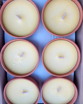 Citronella in coccio antivento  18 pezzi