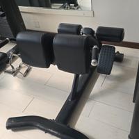 Panca romana iperextension lombari palestra