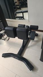 Panca romana iperextension lombari palestra
