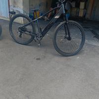 bicicletta elettrica