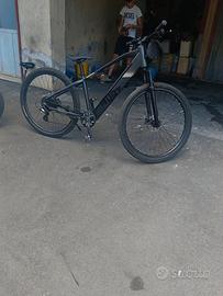 bicicletta elettrica