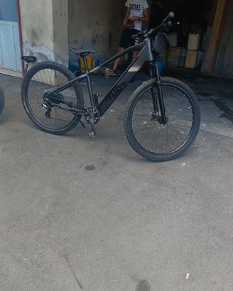 bicicletta elettrica