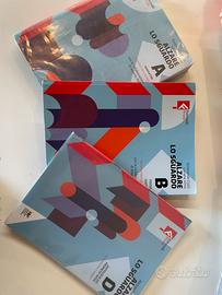 Libri letteratura