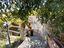 Immagine 27