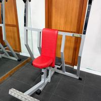 Attrezzo Technogym Lat Machine