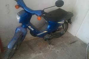 honda wallaroo 