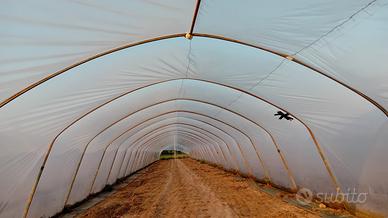7 SERRE A TUNNEL  leggere l'annuncio 