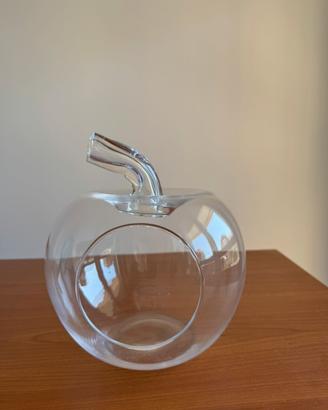 Vaso design in Vetro per piante grasse/terrario