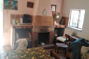 Terreno con deposito agricolo e ulivi