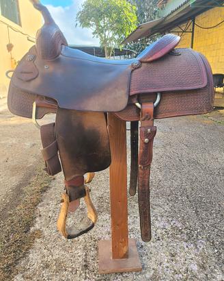 sella americana cutting 