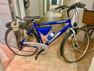 Bici da passeggio