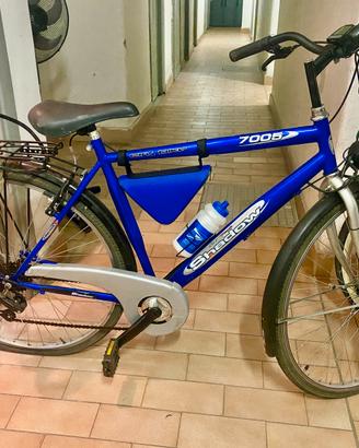 Bici da passeggio