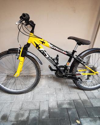 Bicicletta da ragazzo Bottecchia ruote del 24