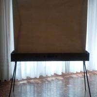 Telo per proiezione con valigetta VINTAGE