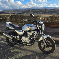 Kawasaki ER-5 iscritta FMI