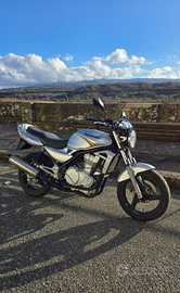 Kawasaki ER-5 iscritta FMI