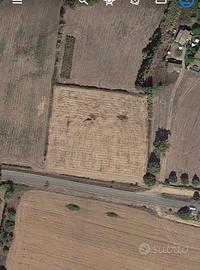 Terreno agricolo irriguo