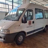 Fiat ducato 2.3 jtd panorama 8 posti
