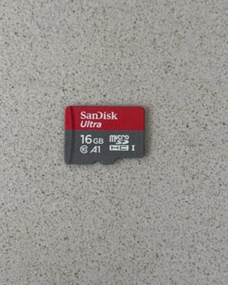SANDISK Micro SD