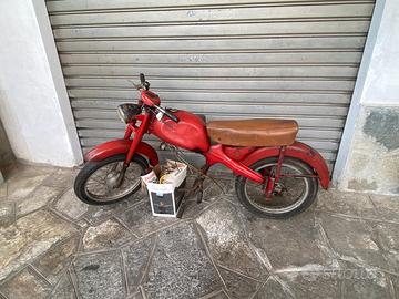 Motom 51 GG Lusso