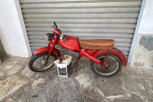 Motom 51 GG Lusso
