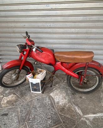 Motom 51 GG Lusso