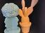 Immagine 5