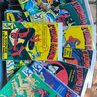 L'uomo Ragno dal 1 al 529