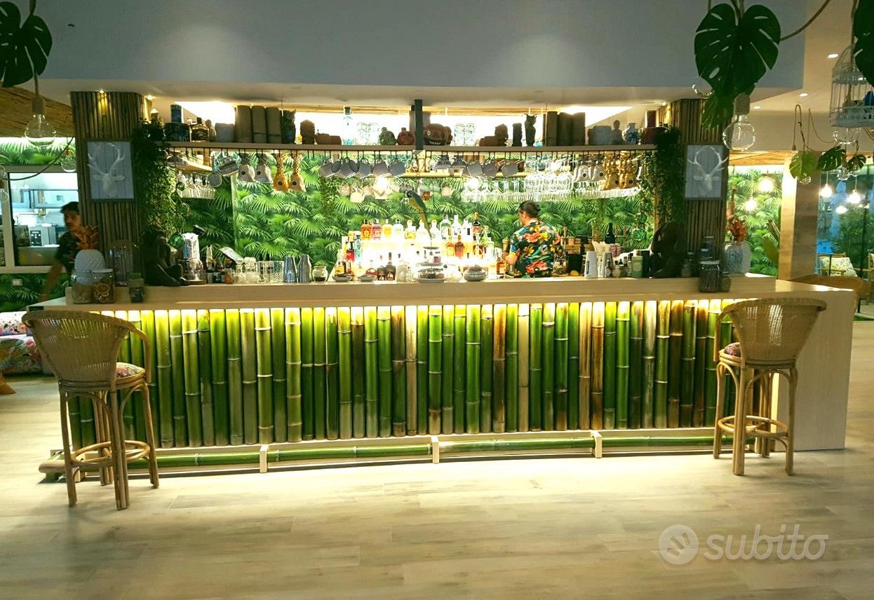 Canne di bambù bamboo - Arredamento e Casalinghi In vendita a Rimini