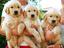 Immagine 9