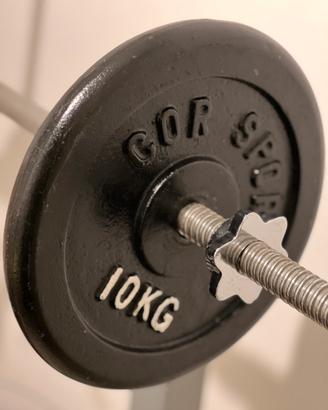 Dischi ghisa palestra