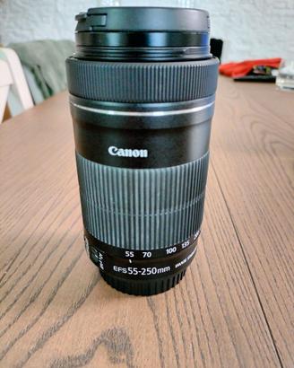 Canon ef s 55 250 Is stm