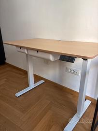 FLEXISPOT Scrivania in Legno Regolabile in Altezza