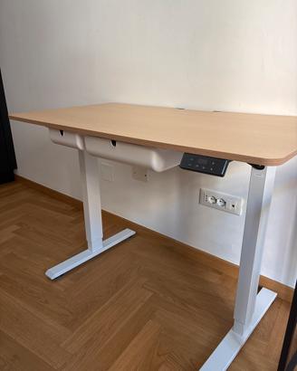 FLEXISPOT Scrivania in Legno Regolabile in Altezza