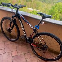 Mtb Cannondale trail 5 29