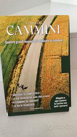 Cammini Meridiani, 4 monografie dedicate ai cammin