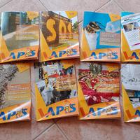 L'apis stagione 2010-2011