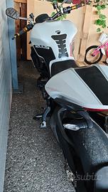 Ducati Monster 1200S 