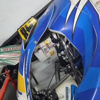 Telaio Go Kart Birel Ricciardo s14