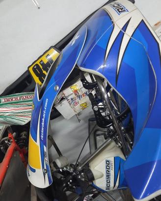 Telaio Go Kart Birel Ricciardo s14