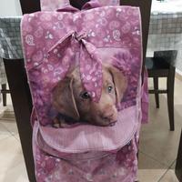 Zaino scuola bambina