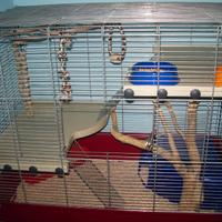 Gabbia XL della FOP per roditori