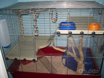 Gabbia XL della FOP per roditori