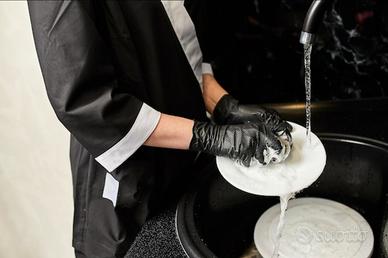 Lavapiatti Tuttofare aiuto Cucina