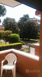 "La casa delle conchiglie" a casabianca di fermo