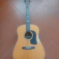 Chitarra Acustica Washburn Limited Edition D24SI